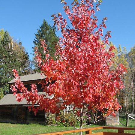 Birch Meadows Lodge B&B Fernie Exterior foto