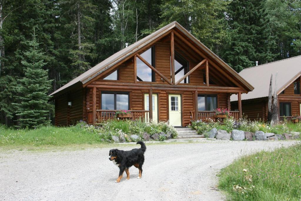 Birch Meadows Lodge B&B Fernie Exterior foto